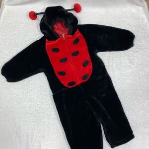 Celebration Halloween plush zip one piece ladybug costume 12-24m